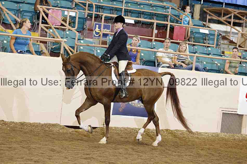 Proof Number 12yn_09822