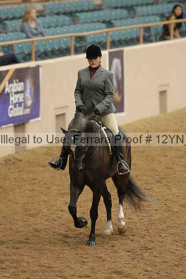 Proof Number 12yn_09823