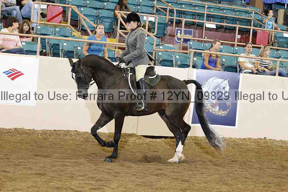 Proof Number 12yn_09829