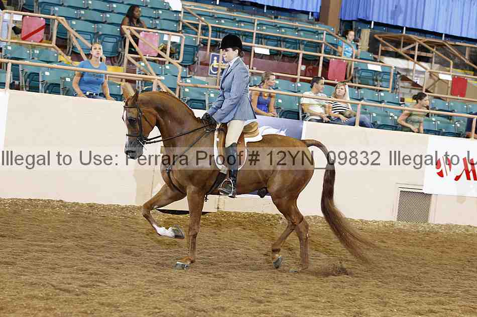 Proof Number 12yn_09832
