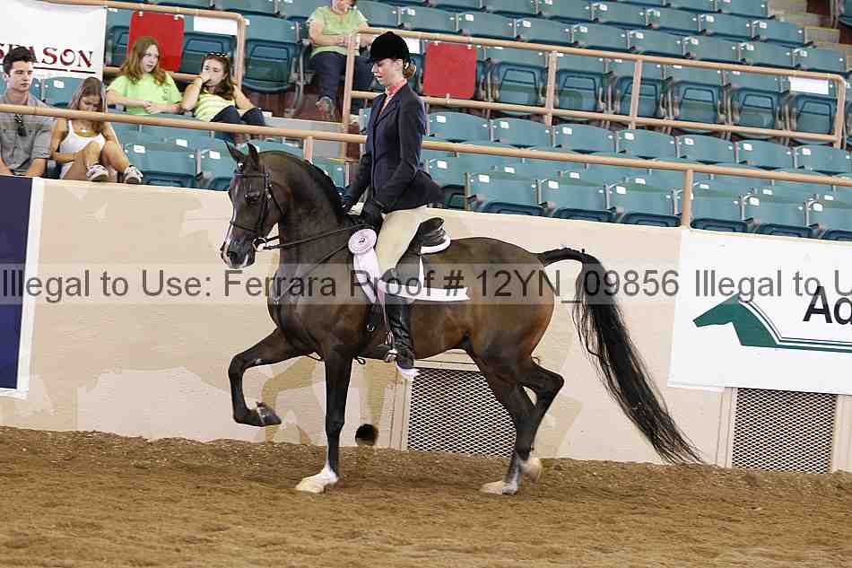 Proof Number 12yn_09856