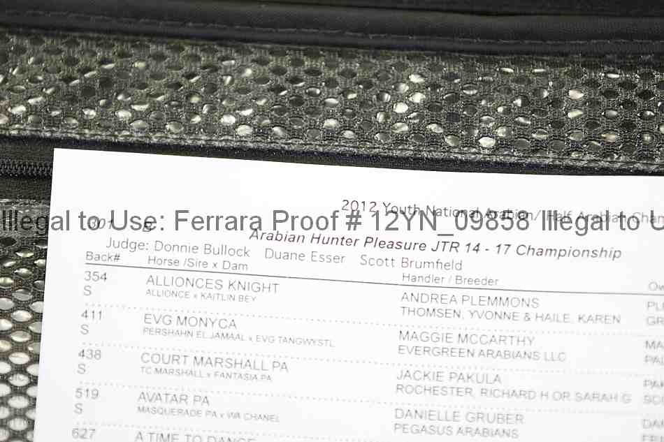Proof Number 12yn_09858