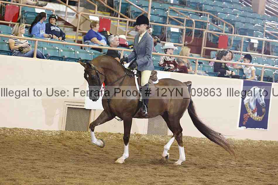 Proof Number 12yn_09863