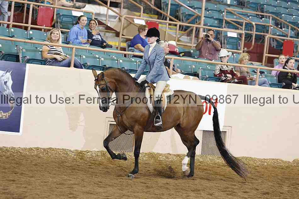 Proof Number 12yn_09867