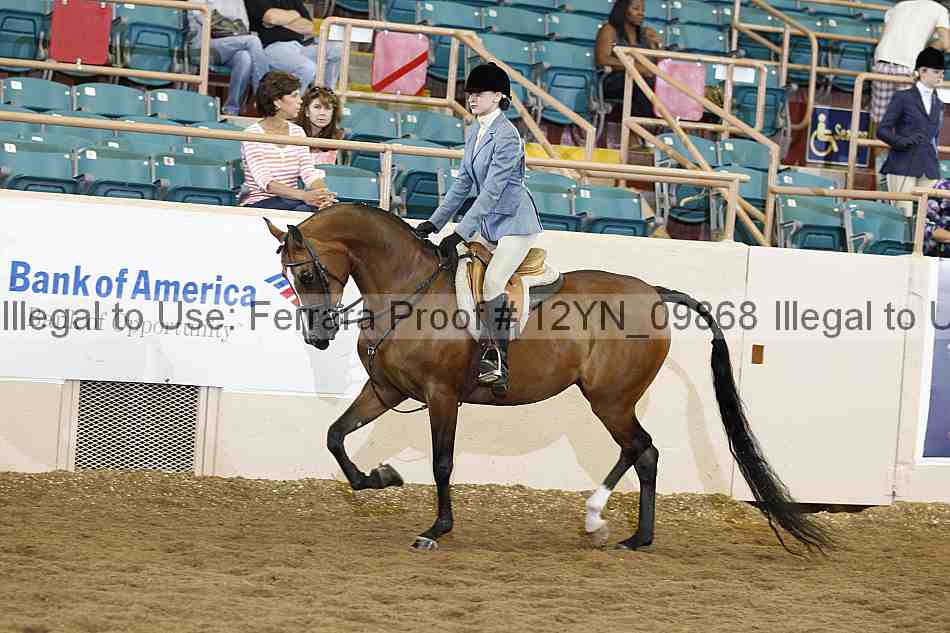 Proof Number 12yn_09868