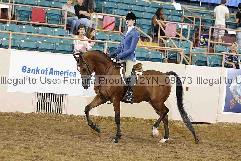 Proof Number 12yn_09873