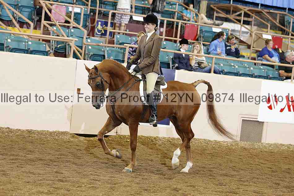 Proof Number 12yn_09874