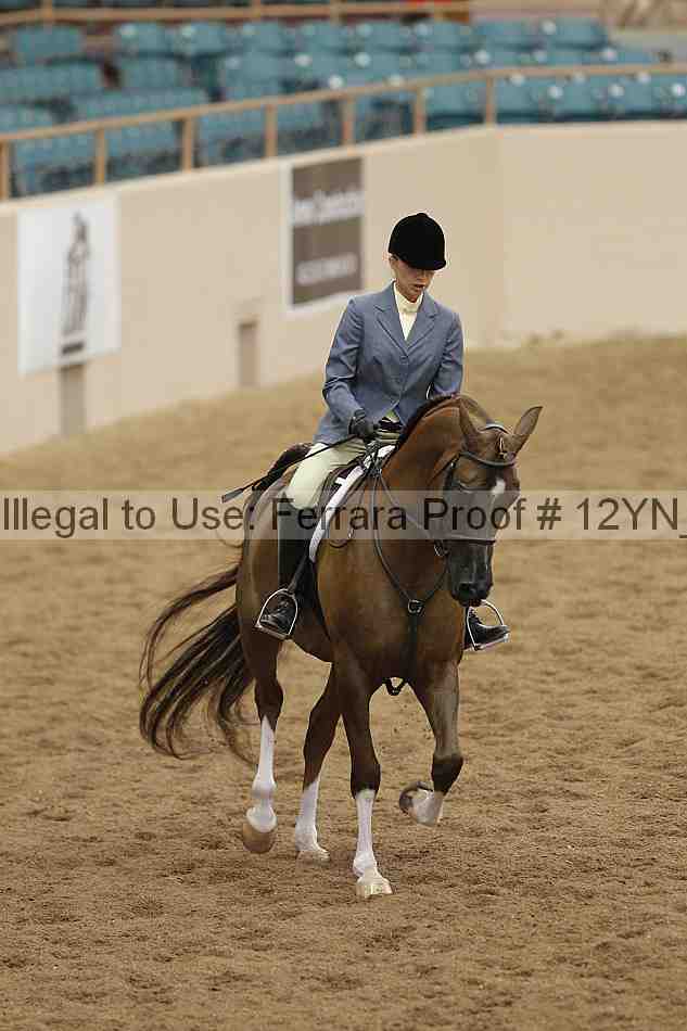 Proof Number 12yn_09881