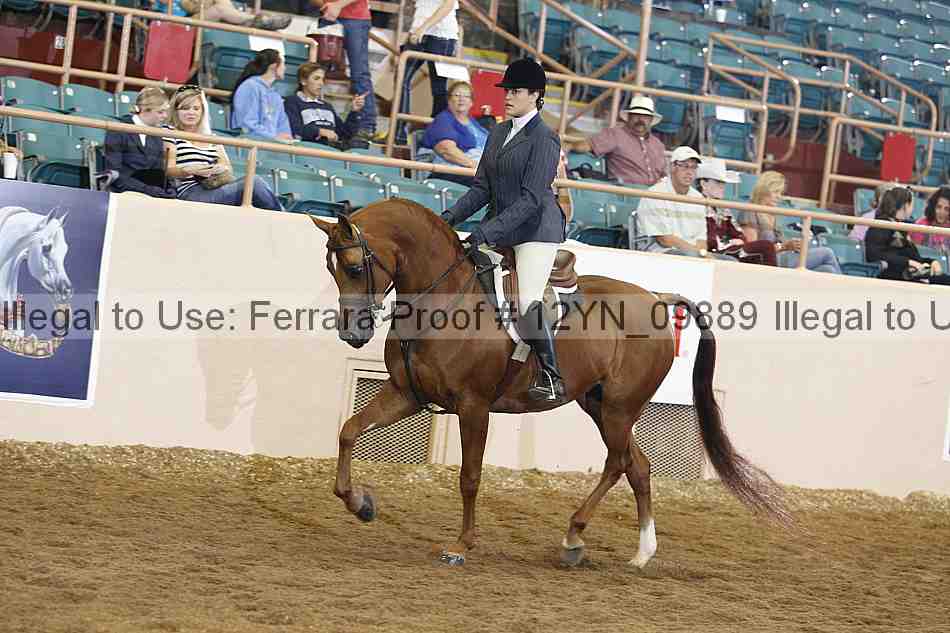 Proof Number 12yn_09889