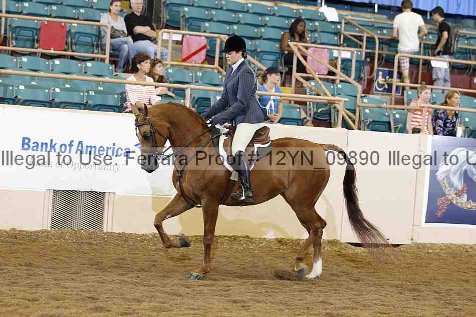 Proof Number 12yn_09890
