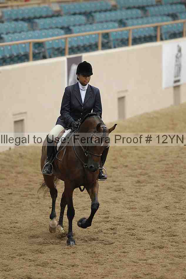 Proof Number 12yn_09891