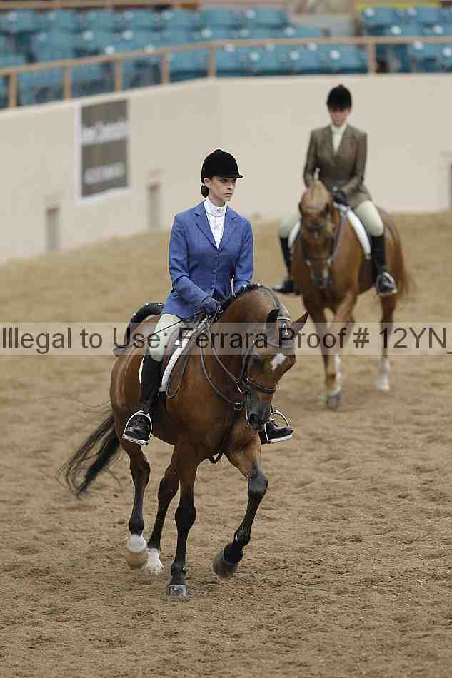 Proof Number 12yn_09893