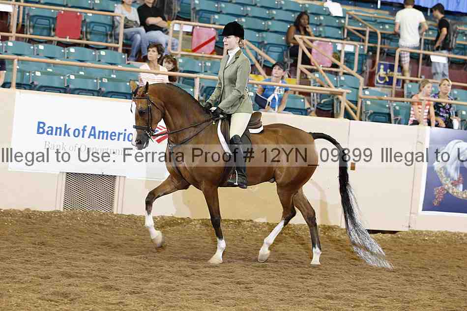 Proof Number 12yn_09899