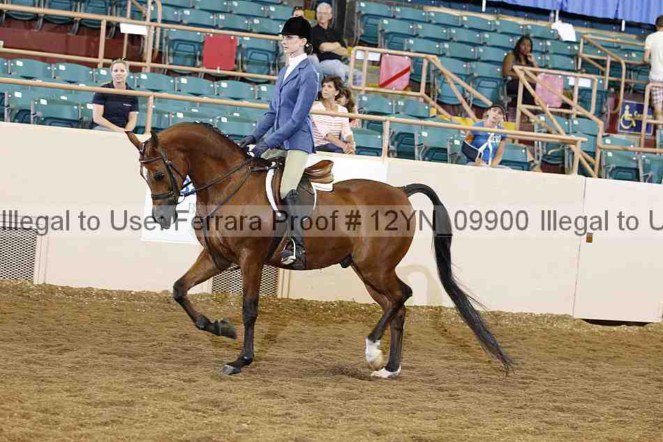 Proof Number 12yn_09900