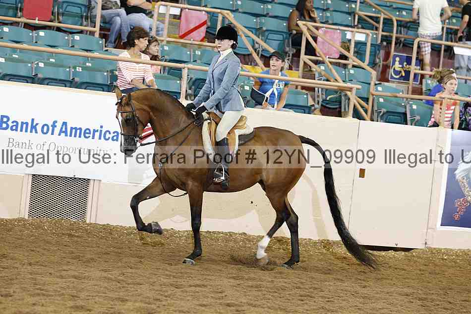 Proof Number 12yn_09909
