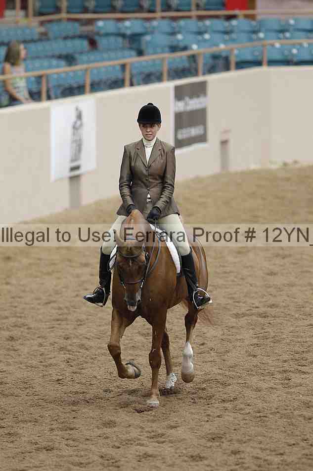 Proof Number 12yn_09910