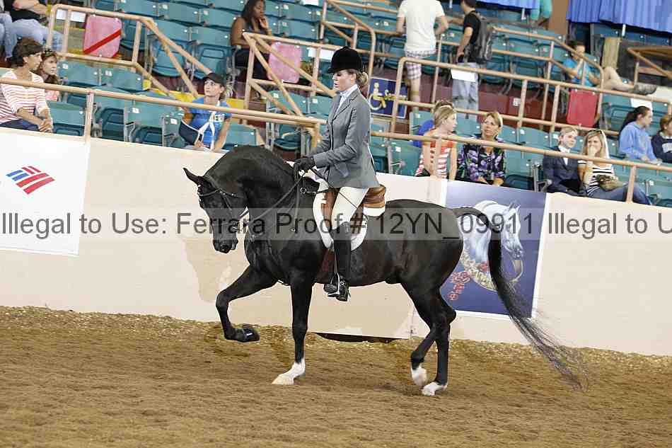 Proof Number 12yn_09911