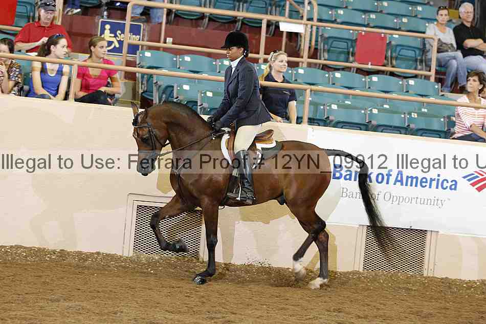 Proof Number 12yn_09912
