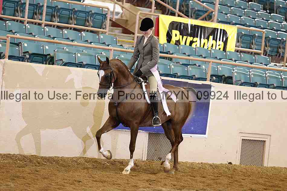 Proof Number 12yn_09924