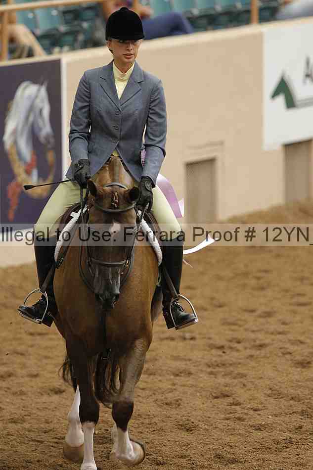 Proof Number 12yn_09934