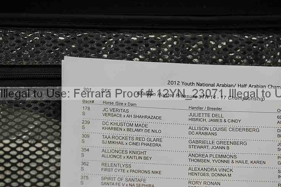 Proof Number 12yn_23071