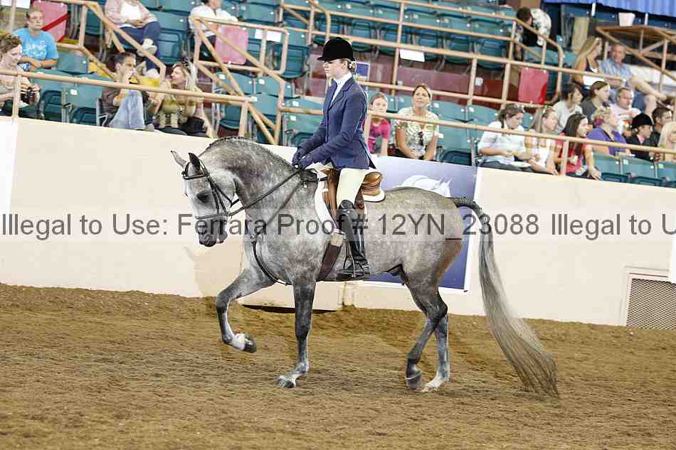 Proof Number 12yn_23088