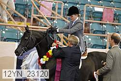 12yn_23120 thumbnail