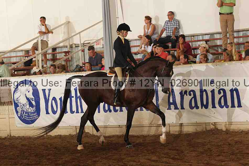 Proof Number 12yn_02690