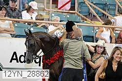12yn_28862 thumbnail