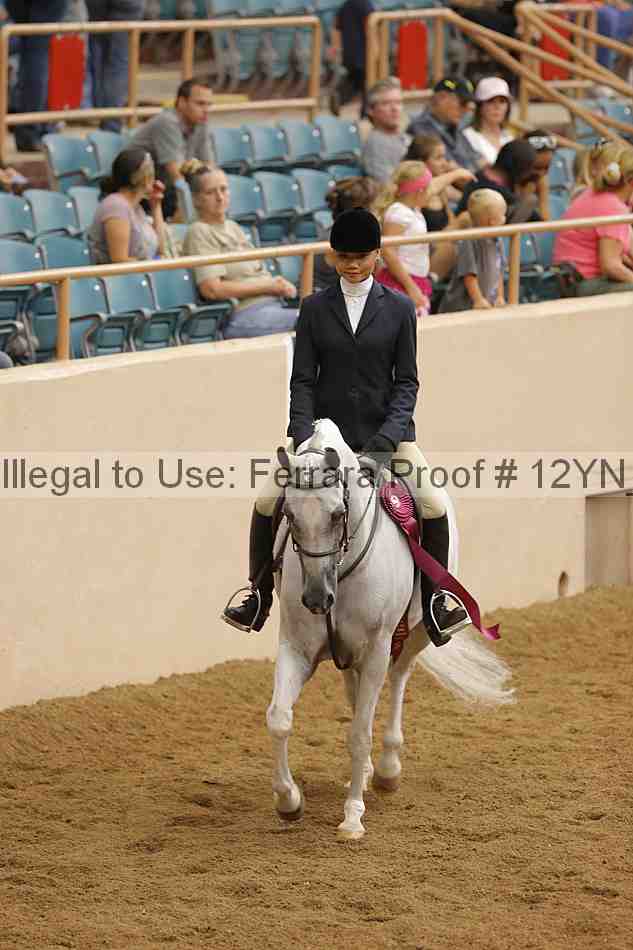 Proof Number 12yn_28904