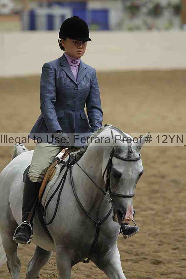 Proof Number 12yn_28914