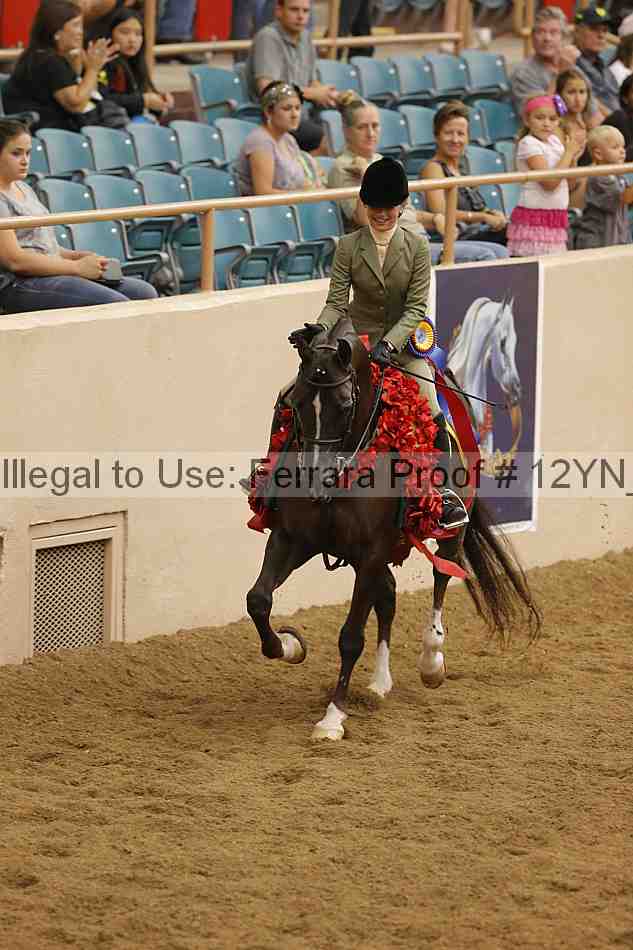 Proof Number 12yn_28925