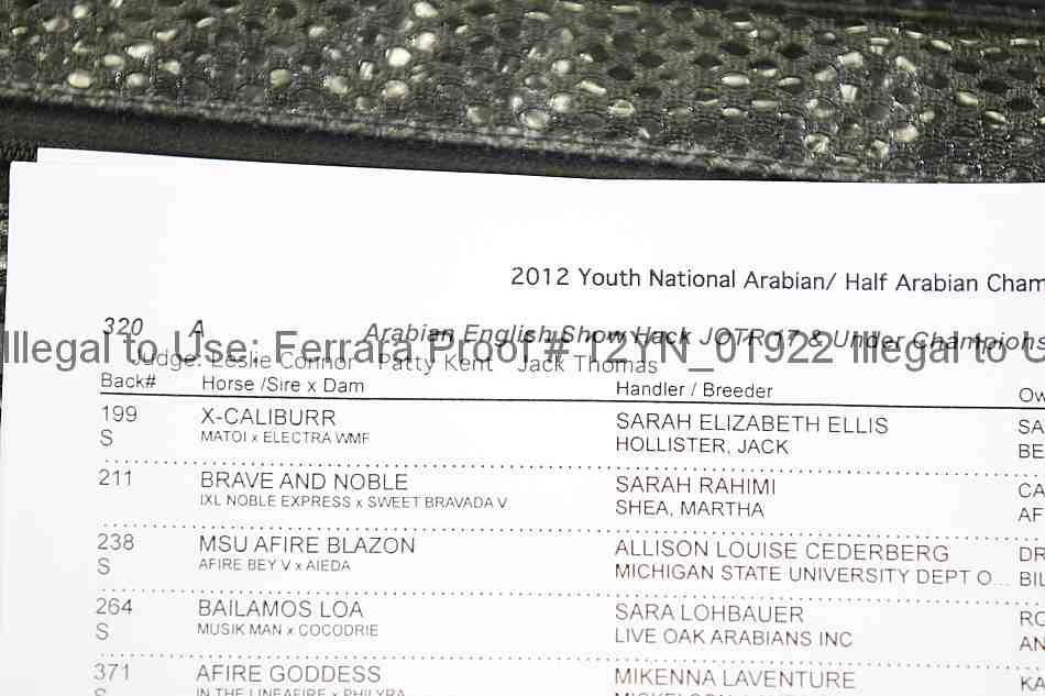 Proof Number 12yn_01922