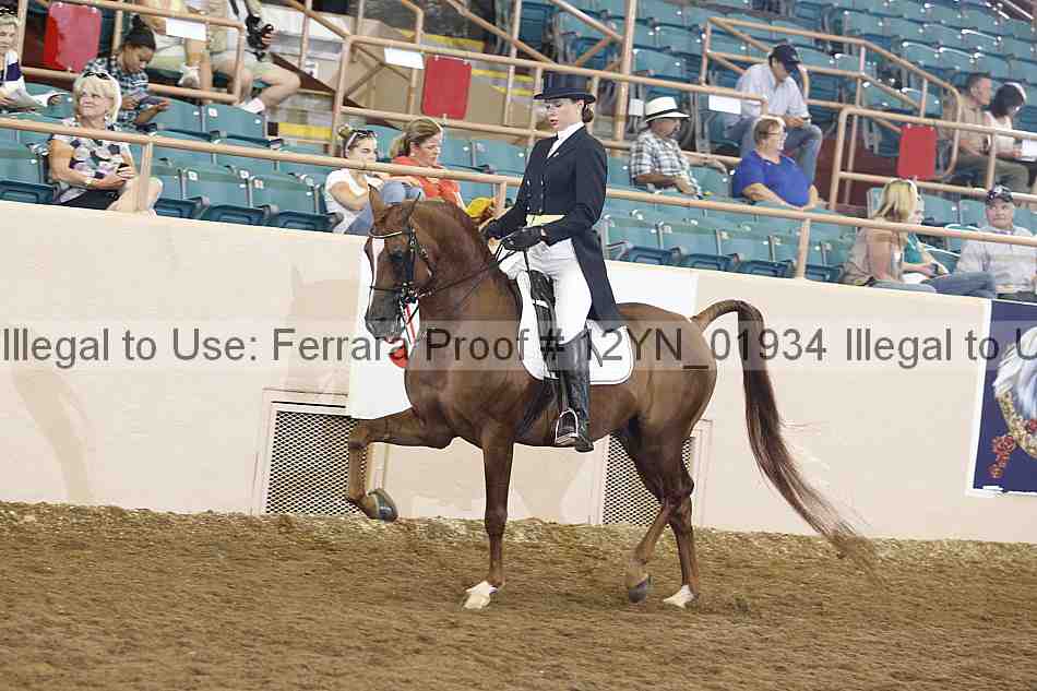 Proof Number 12yn_01934