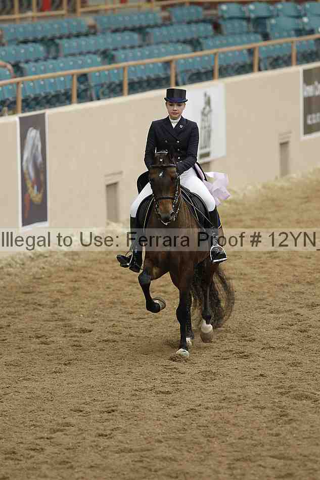 Proof Number 12yn_01948
