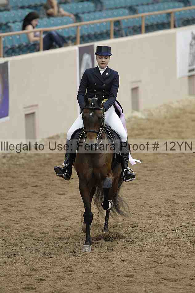 Proof Number 12yn_01949