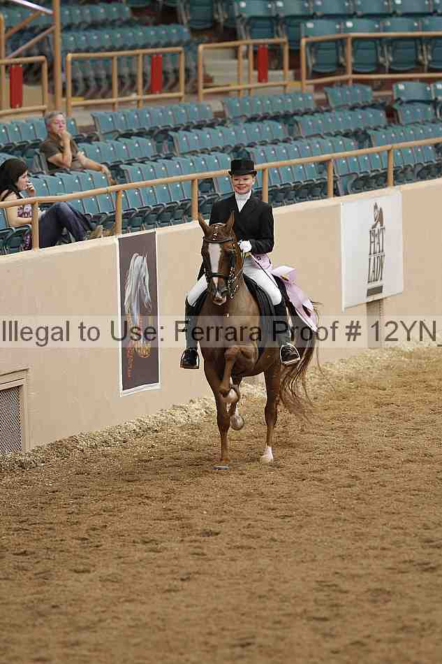 Proof Number 12yn_01950