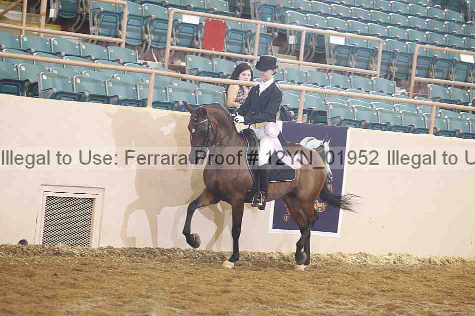 Proof Number 12yn_01952