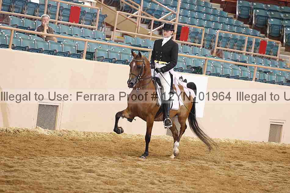 Proof Number 12yn_01964