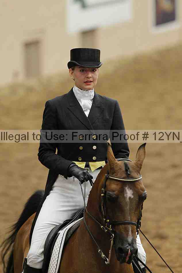 Proof Number 12yn_01975