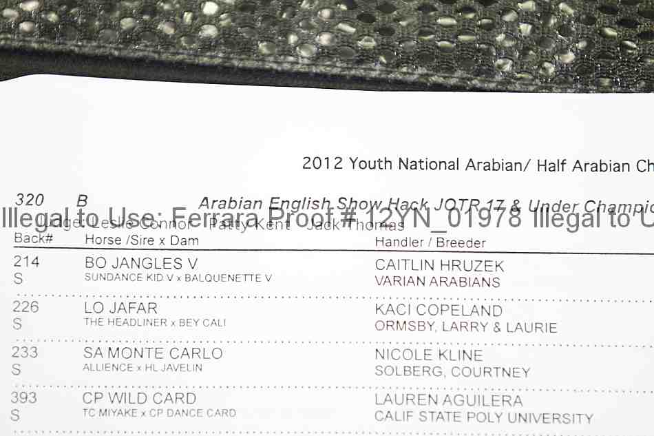 Proof Number 12yn_01978