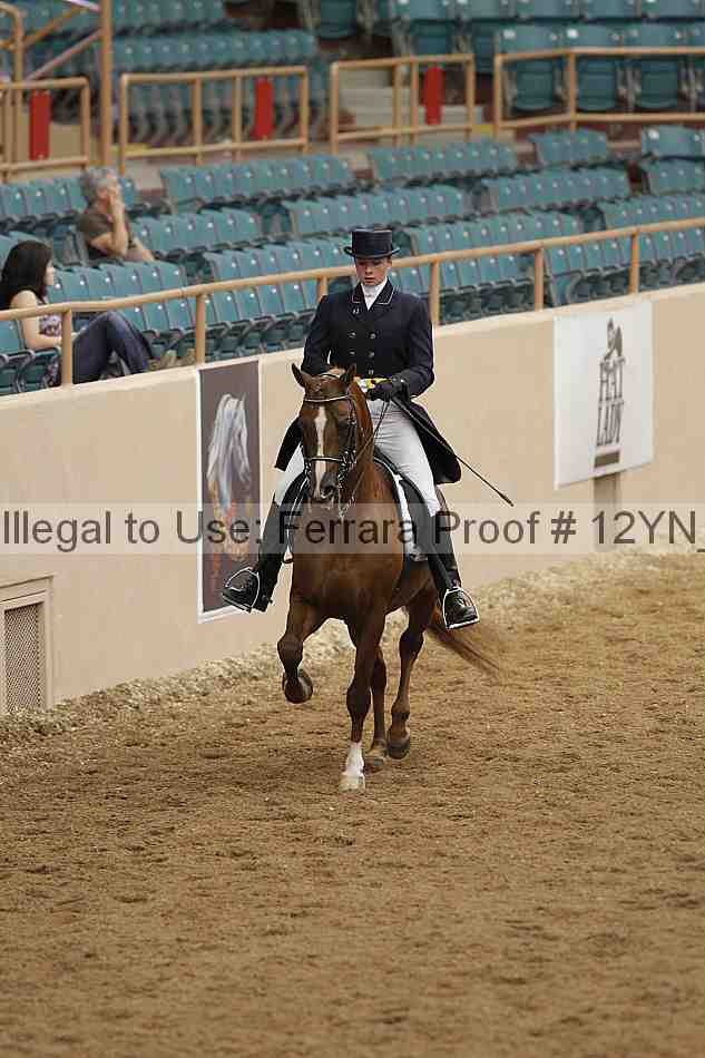 Proof Number 12yn_01997
