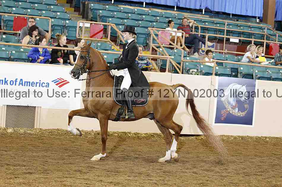 Proof Number 12yn_02003