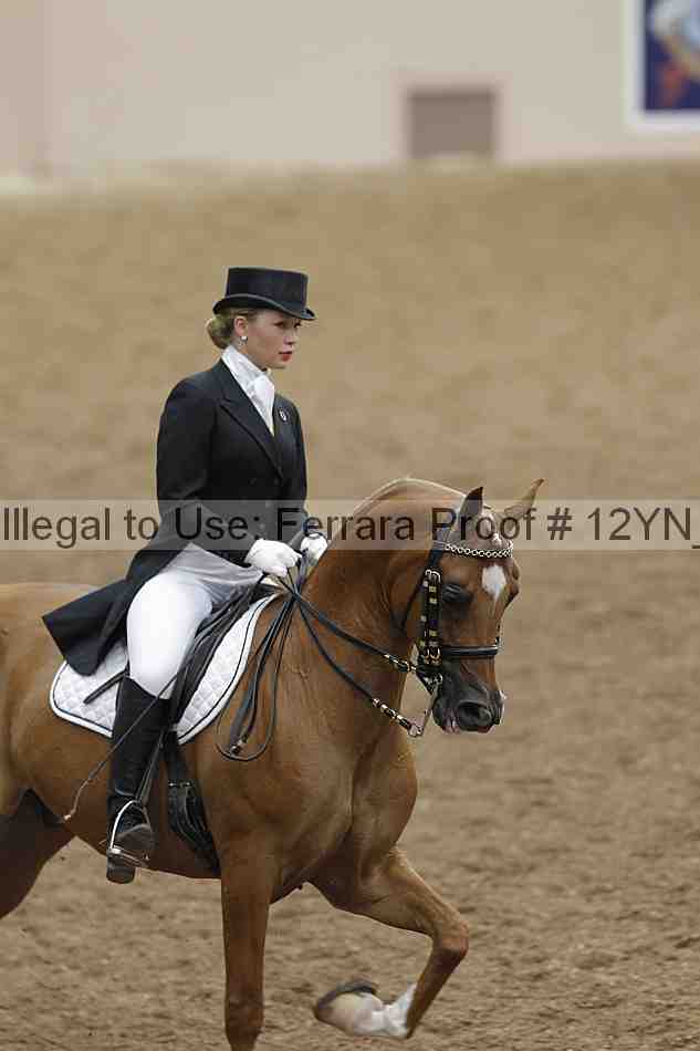 Proof Number 12yn_02004