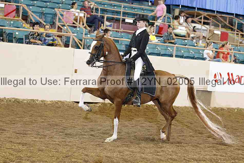 Proof Number 12yn_02005