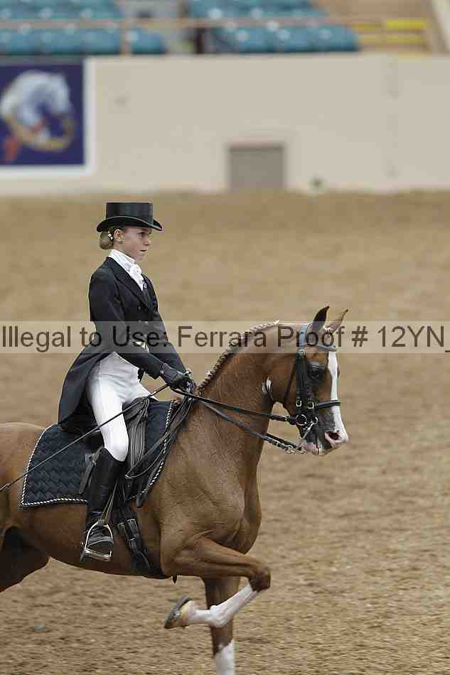 Proof Number 12yn_02006