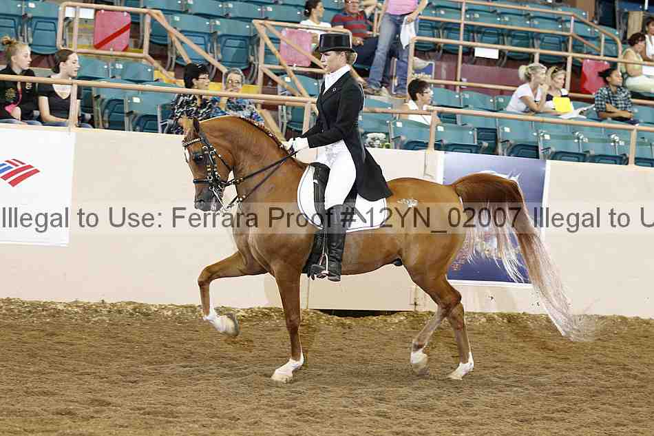 Proof Number 12yn_02007