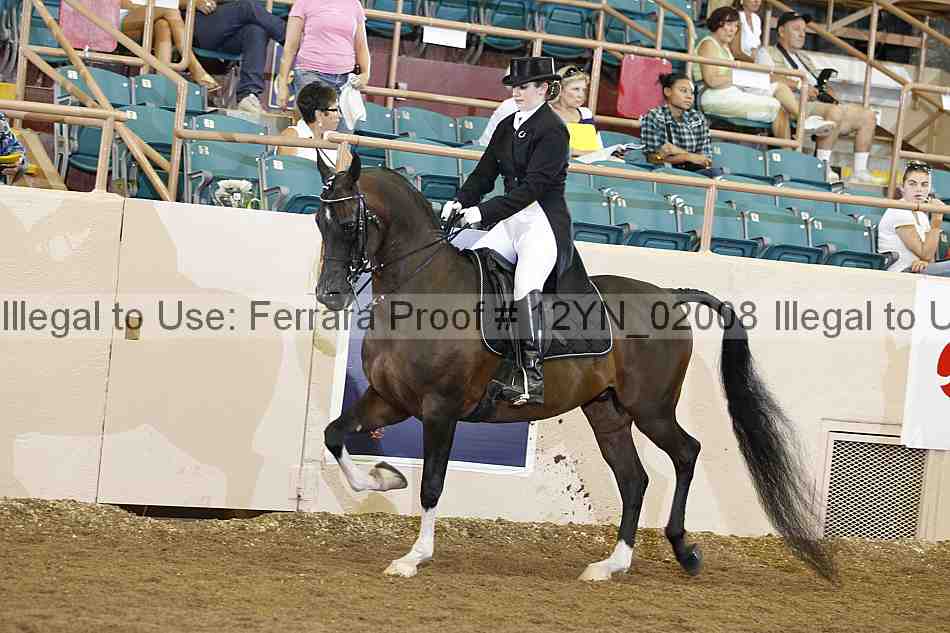 Proof Number 12yn_02008