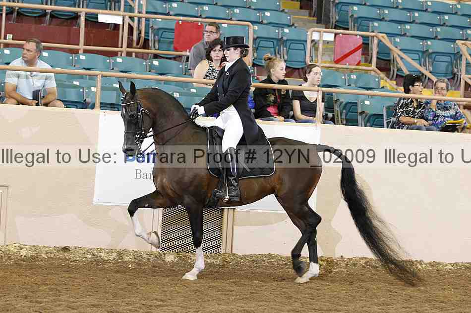 Proof Number 12yn_02009