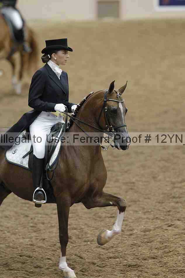 Proof Number 12yn_02011